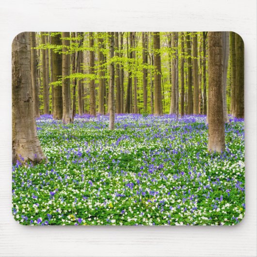 Frühling im Blauen Wald Mousepad (Vorne)