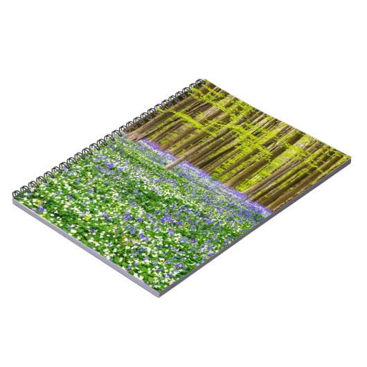 Frühling im Blauen Wald Notizblock (Linke Seite)