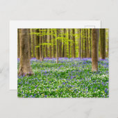 Frühling im Blauen Wald Postkarte (Vorne/Hinten)