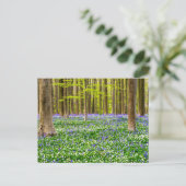 Frühling im Blauen Wald Postkarte (Stehend Vorderseite)