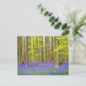 Frühling im Blauen Wald Postkarte (Stehend Vorderseite)