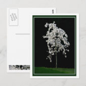 Frühling im Blut Postkarte (Vorne/Hinten)