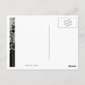 Frühling im Blut Postkarte (Rückseite)