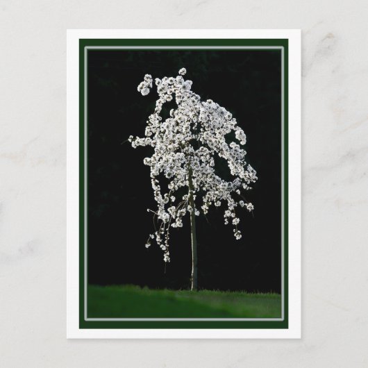 Frühling im Blut Postkarte (Vorderseite)