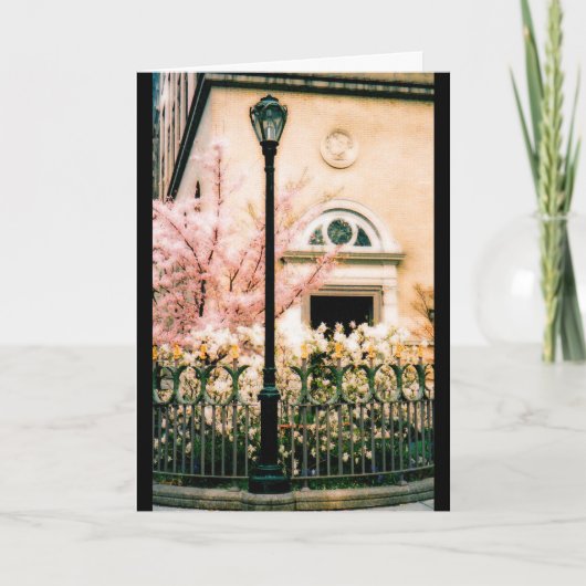 Frühling im Central Park Karte (Vorderseite)