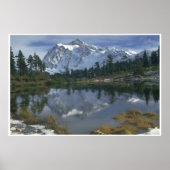Frühling im Hochgebirge Poster (Vorne)