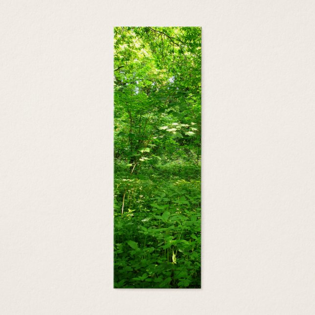 Frühling im Lesezeichen Woods (Vorderseite)