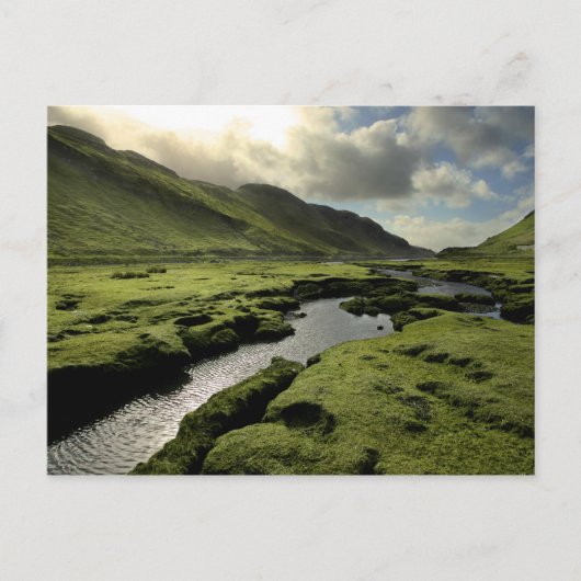 Frühling im schottischen Hochland Postkarte (Vorderseite)
