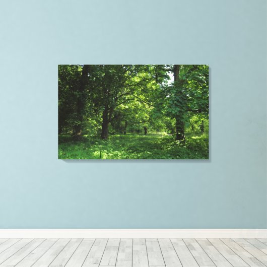 Frühling im Wald 01 Leinwanddruck (Insitu (Holzboden))