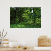 Frühling im Wald 01 Poster (Küche)
