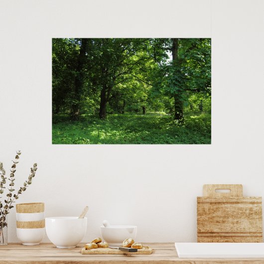 Frühling im Wald 01 Poster (Küche)