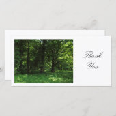 Frühling im Wald 02 - Danke (Vorne/Hinten)