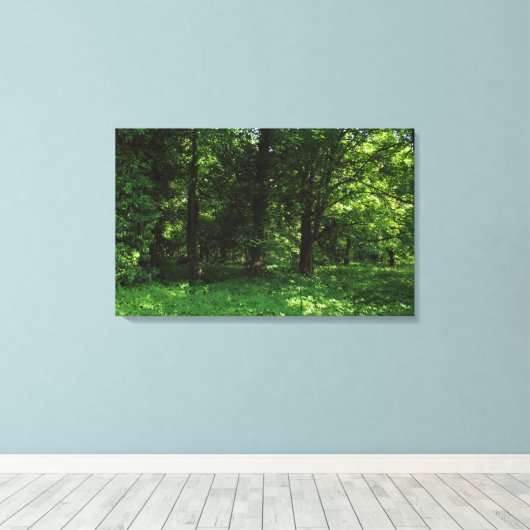 Frühling im Wald 02 Leinwanddruck (Insitu (Holzboden))