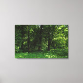 Frühling im Wald 02 Leinwanddruck (Vorderseite)