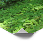 Frühling im Wald 02 Poster (Ecke)