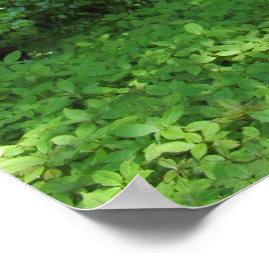 Frühling im Wald 02 Poster (Ecke)