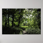 Frühling im Wald 03 Poster (Vorne)