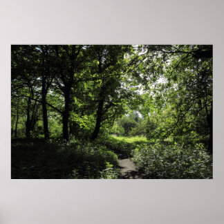 Frühling im Wald 03 Poster