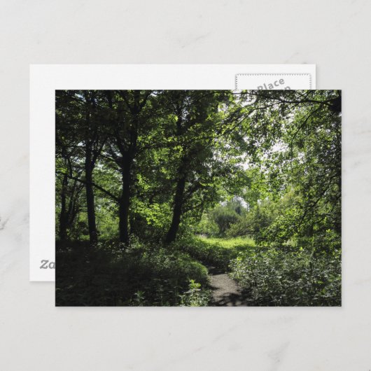 Frühling im Wald 03 Postkarte (Vorne/Hinten)