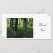 Frühling im Wald 04 - Danke (Vorne/Hinten)