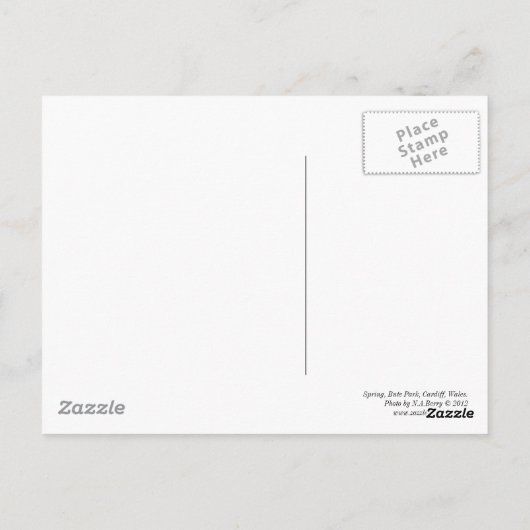 Frühling im Wald 04 Postkarte (Rückseite)