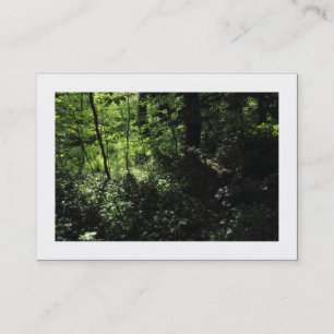 Frühling im Wald 05 (gerahmt) Visitenkarte