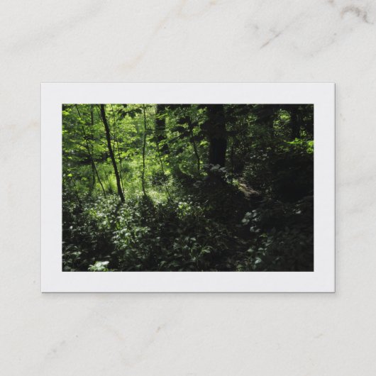 Frühling im Wald 05 (grenzt) Visitenkarte (Vorderseite)