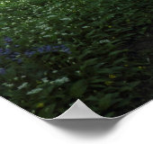 Frühling im Wald, Bute Park, Cardiff Poster (Ecke)