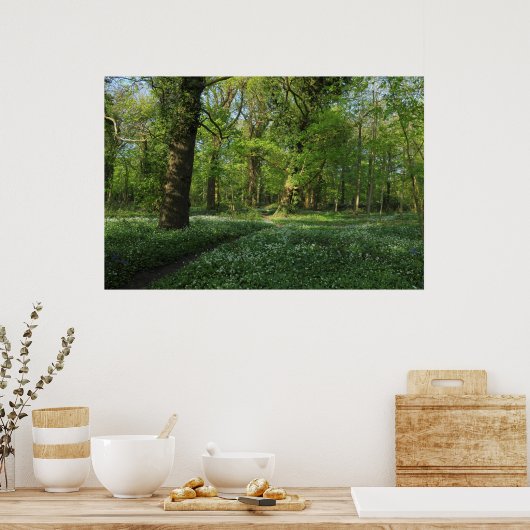 Frühling im Wald, Bute Park, Cardiff Poster (Küche)