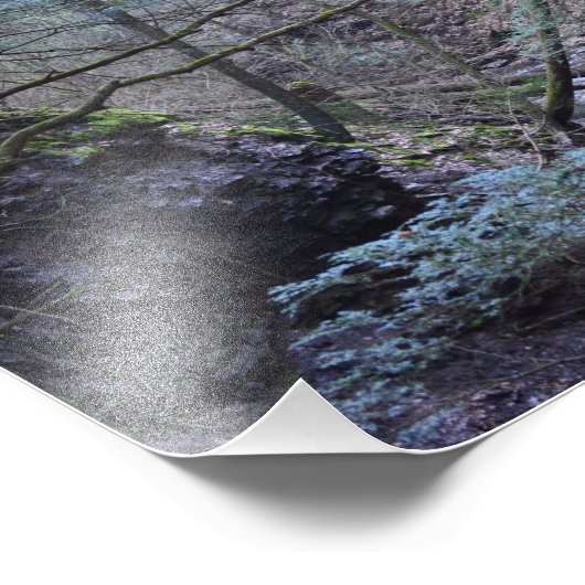 Frühling im Wald. Fotodruck (Ecke)