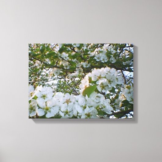 Frühling in Bloom Stretched Canvas Print Leinwanddruck (Vorderseite)