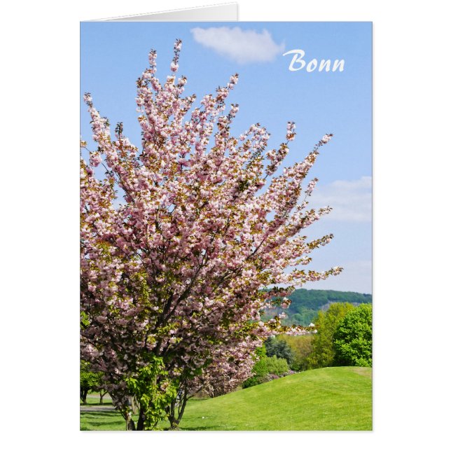 Frühling in Bonn (Vorne)