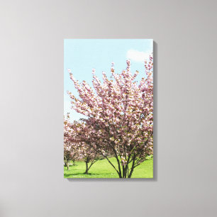 Frühling in Bonn Eingewickelte Leinwand