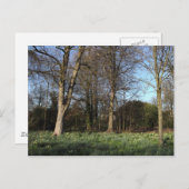 Frühling in Bute Park, Cardiff Postkarte (Vorne/Hinten)