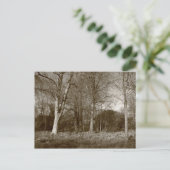 Frühling in Bute Park, Cardiff Postkarte (Stehend Vorderseite)