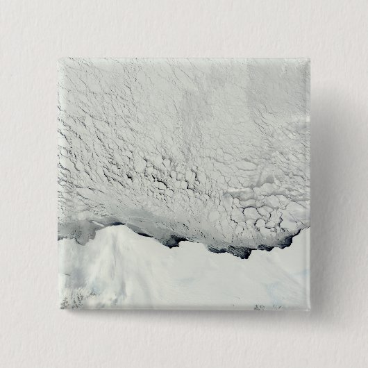 Frühling in der Antarktis Button (Vorderseite)