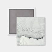 Frühling in der Antarktis Magnet (Vorderseite/Rückseite)