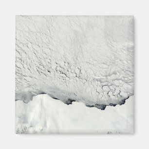 Frühling in der Antarktis Magnet