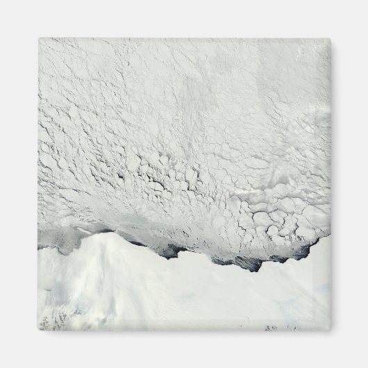 Frühling in der Antarktis Magnet (Vorne)