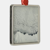 Frühling in der Antarktis Ornament Aus Metall (Rechts)