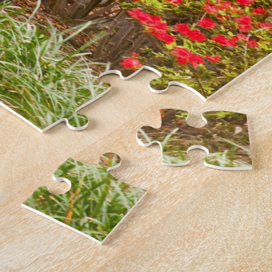 Frühling in der Savanne, GA, Forsyth Park, Puzzle (Seite)