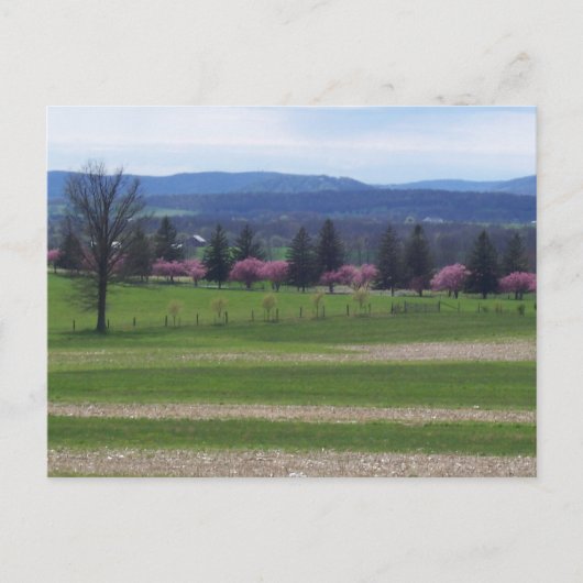 Frühling in Gettysburg Postkarte (Vorderseite)