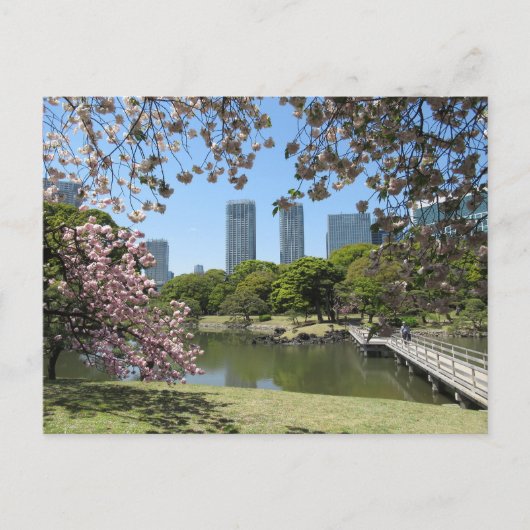 Frühling in Hama-rikyu Gardens: Tokio Postkarte (Vorderseite)