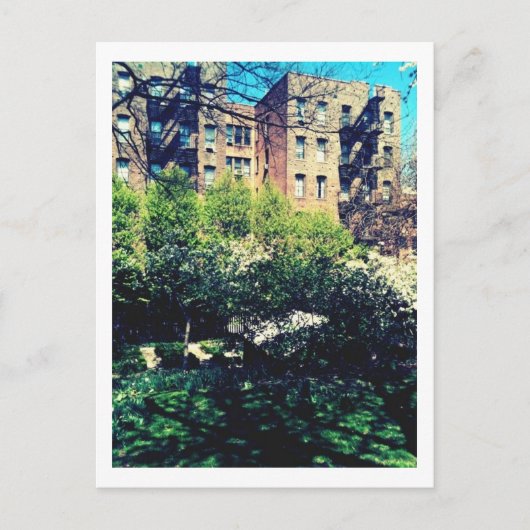 Frühling in Inwood Postkarte (Vorderseite)