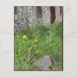~ Frühling in Lancaster Landkreis ~ 8 Postkarte