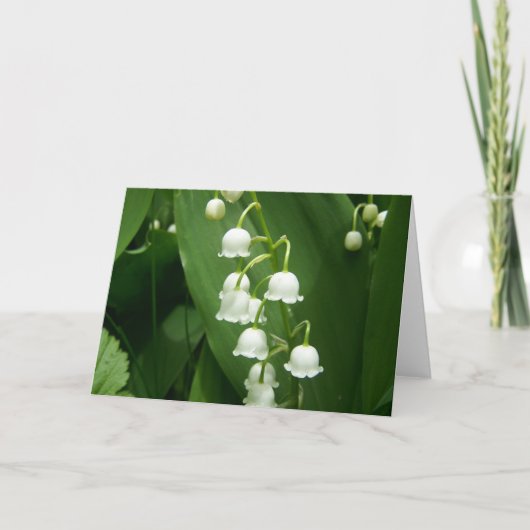 Frühling in Maine Karte (Vorderseite)