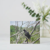 Frühling in Maine Postkarte (Stehend Vorderseite)