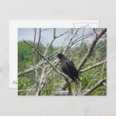 Frühling in Maine Postkarte (Vorne/Hinten)