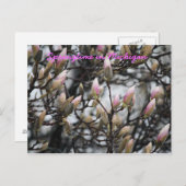 Frühling in Michigan Postkarte (Vorne/Hinten)