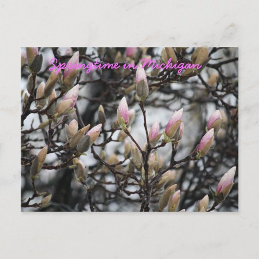 Frühling in Michigan Postkarte (Vorderseite)
